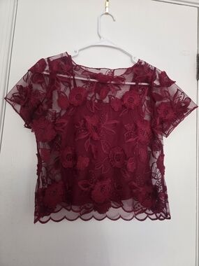 Charmed Hearts Burgundy Floral Embroidered Mesh Overlay Crop Top S